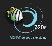 MAPAO mini site web
