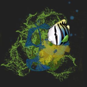 mapao poisson cosmique2 300x300