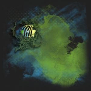 Decouverte mini site web