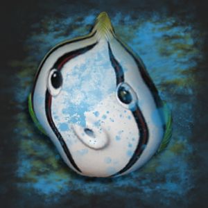 MAPAO e-commerce