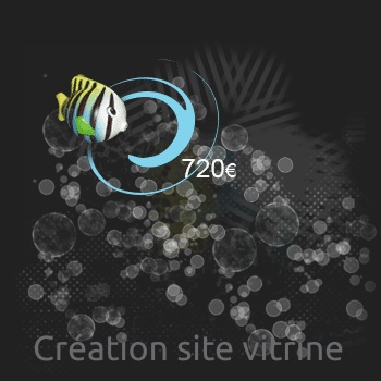 MAPAO mini site web