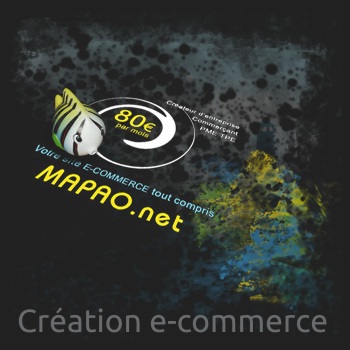 MAPAO création site ecommerce mensualisé